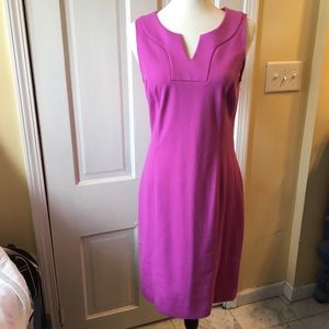 Banana Republic Soft Magenta Dress